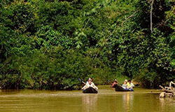 Include a stop at Khao Sok National Park when traveling from Bangkok on a join bus & ferry ticket